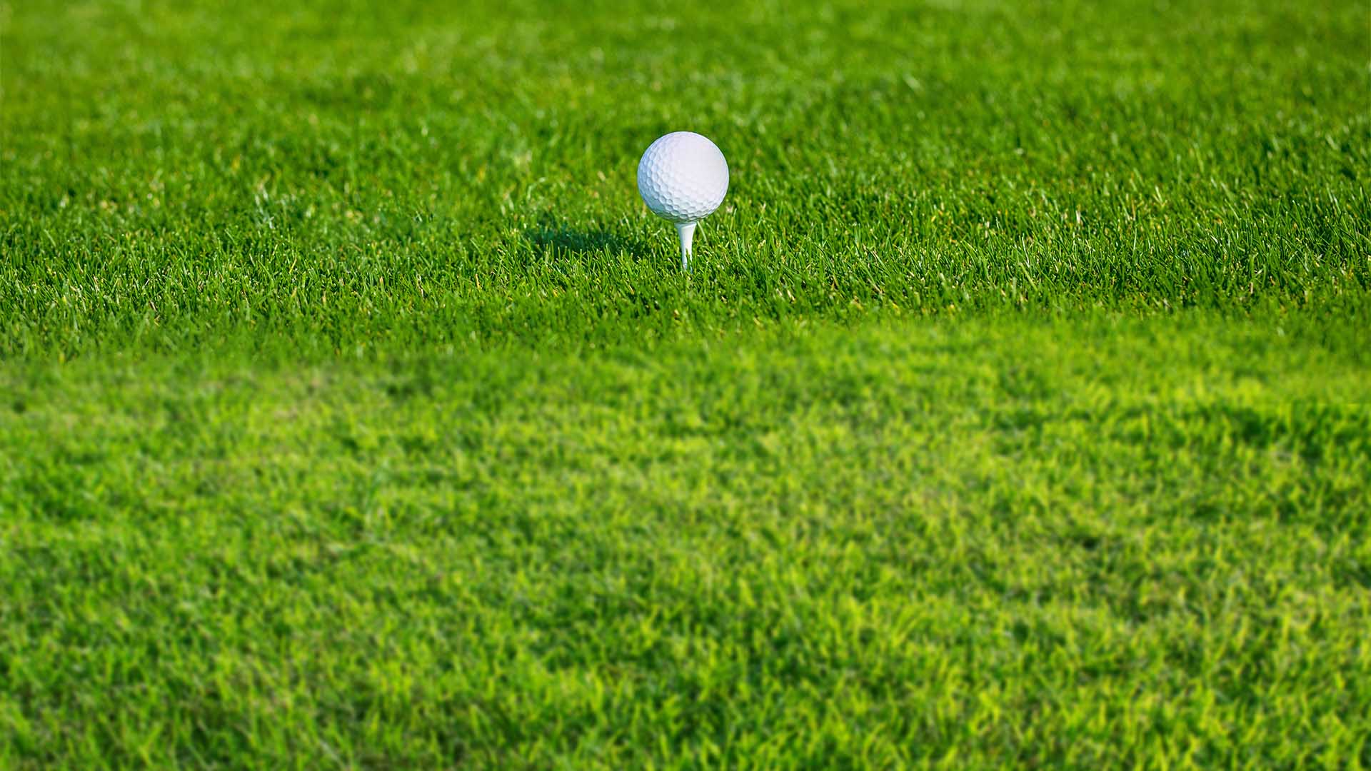 Charity Golf Tournament  –  Oct 2, 2023