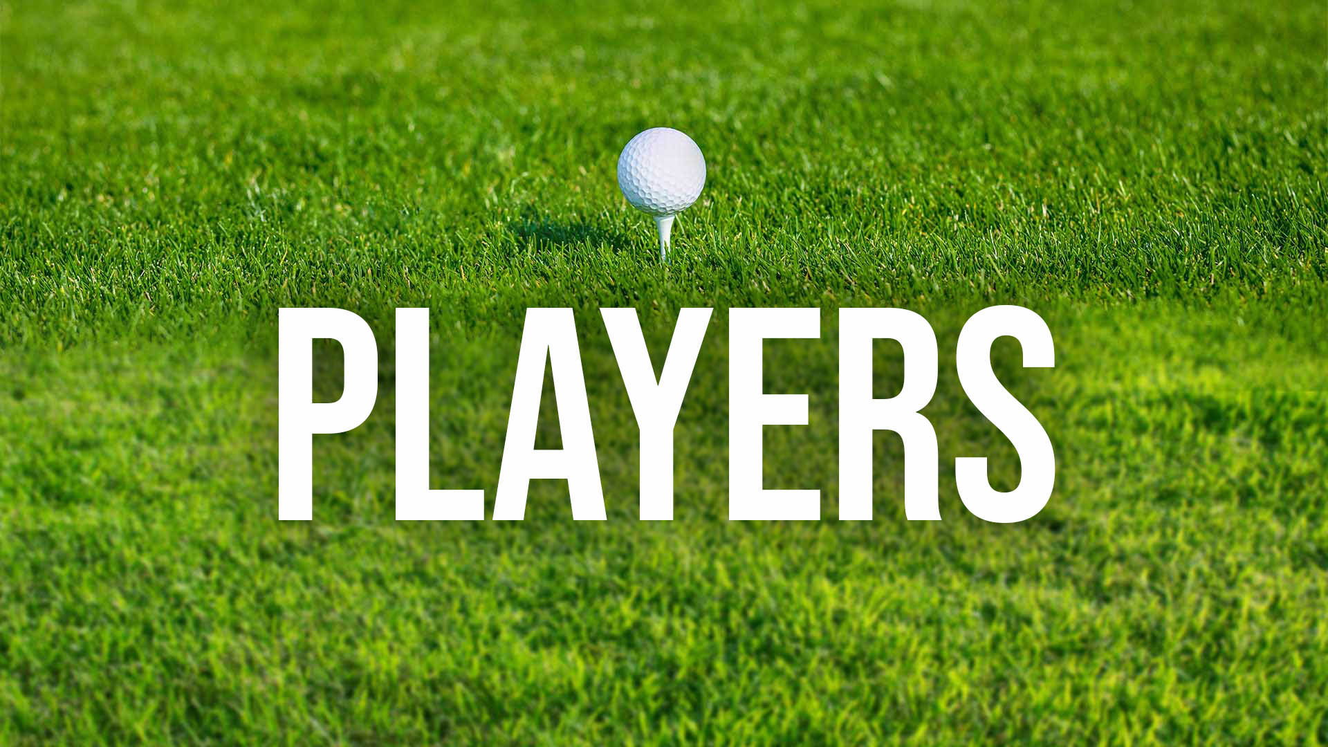 Charity Golf Tournament  –  September 23, 2024 Player / Team Registration
